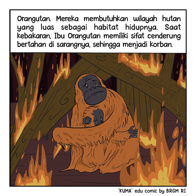 Image 1-10